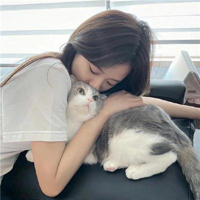 是非之地